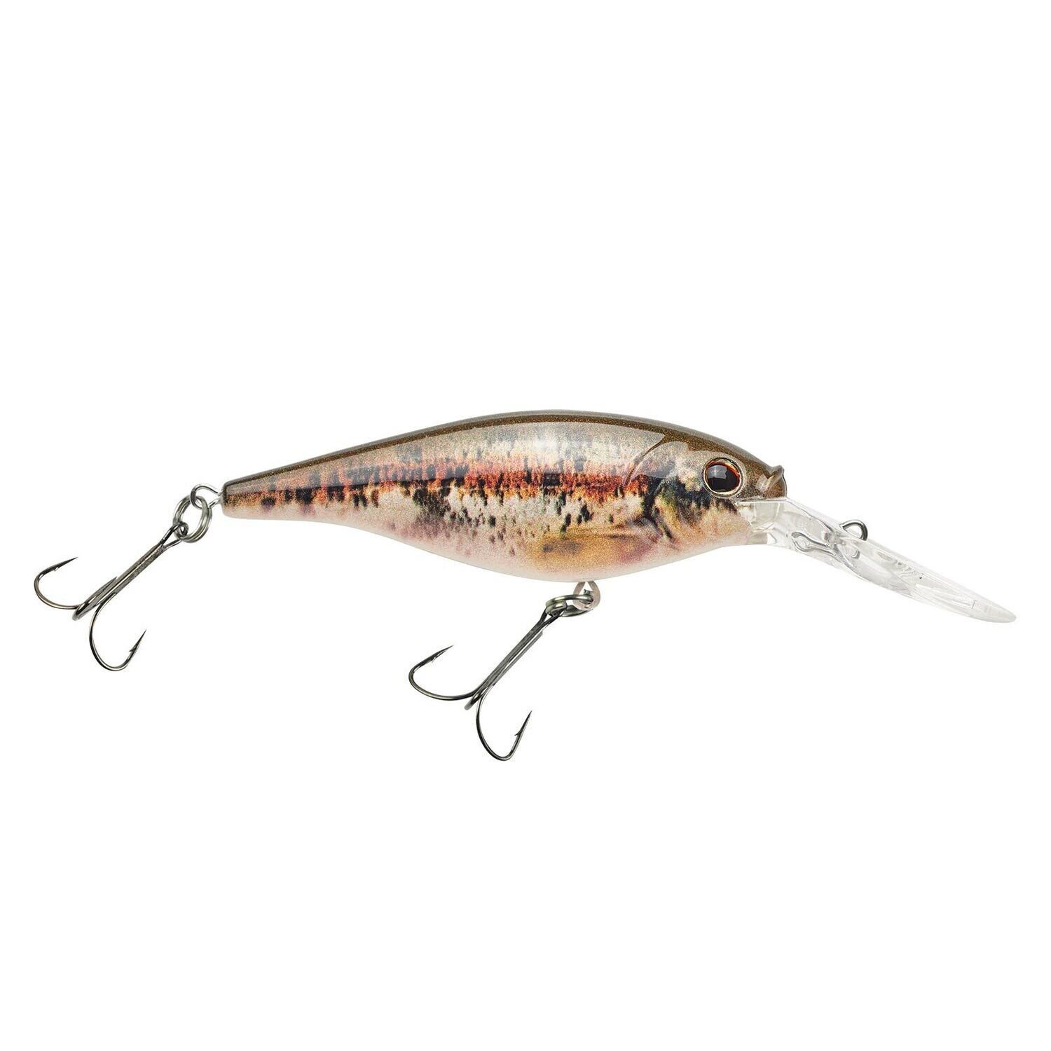 Flicker 5M HD Blacknose Dace