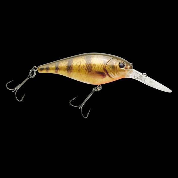 Flicker 5M HD Yellow Perch