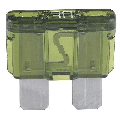 30 Amp Blade Fuses