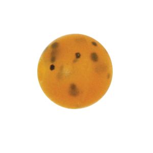 Brown Speckled Beads 6mm 50pk.