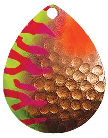 Colorado Big Water Tiger Stripe – Copper/Chartreuse Pink Tiger – Size 5