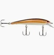 Bandit B-Rotan Baby Carp