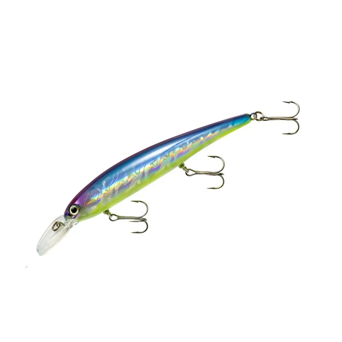 Bandit Shallow Blue Shiner