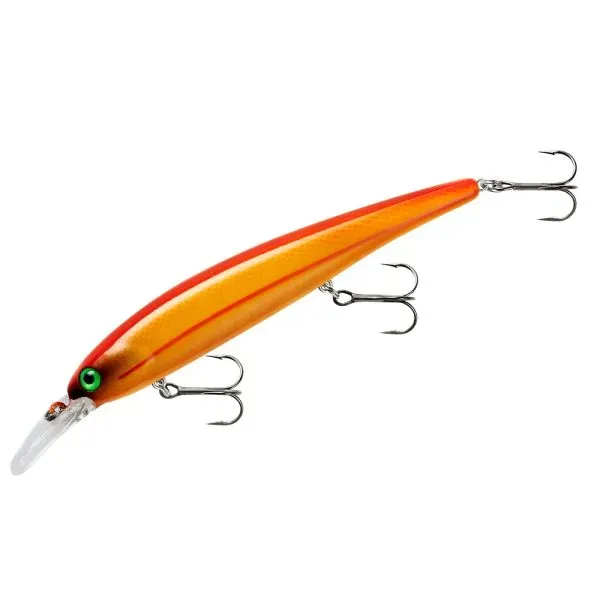 Bandit Shallow Orange Crush