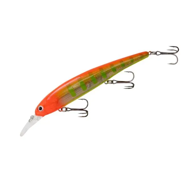 Bandit Shallow Peacock