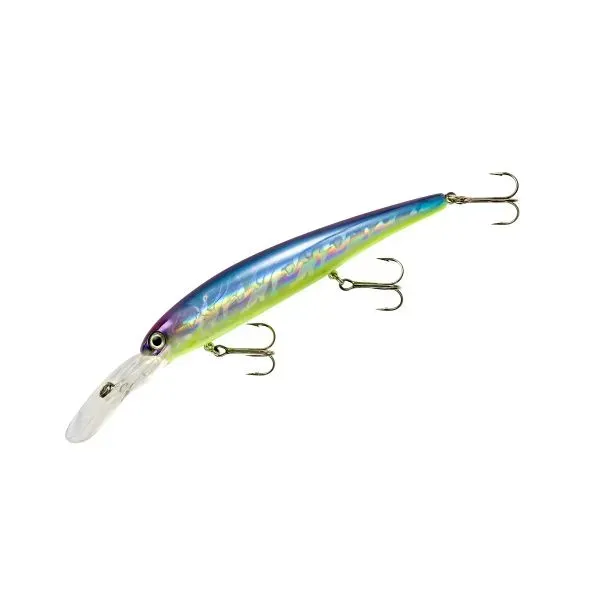 Bandit Deep BDTWBD201 Blue Shiner