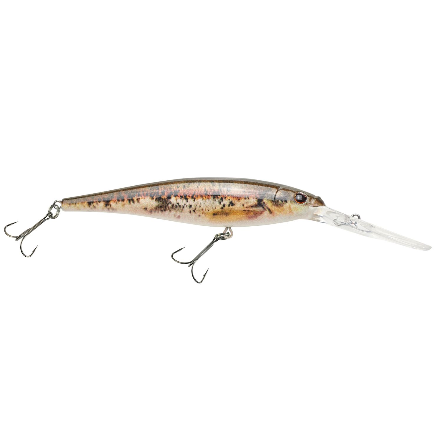 Berkley Flicker Minnow 7 HD Blacknose Dace