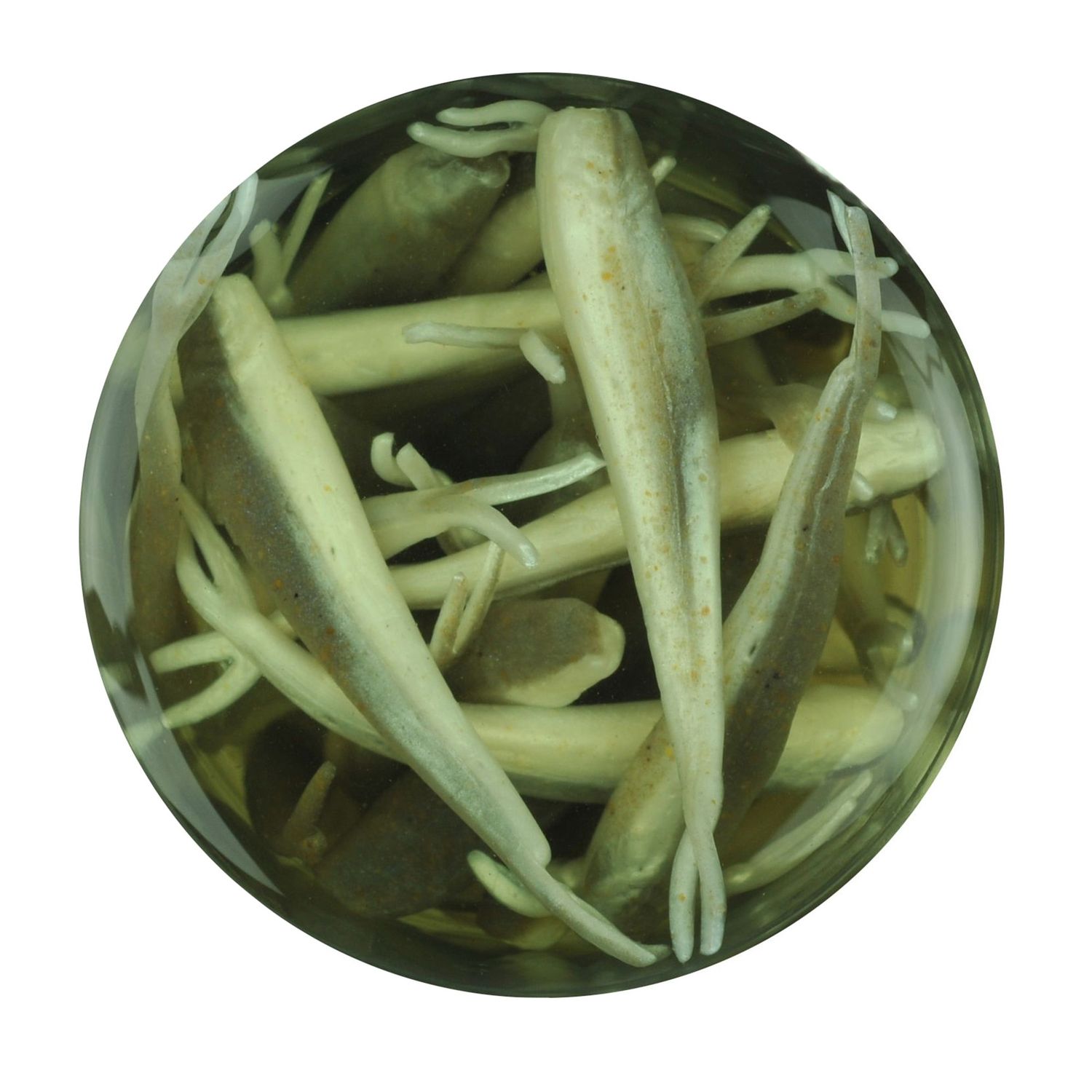 Berkley Gulp Alive Smelt Minnow