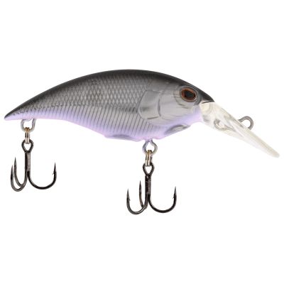 Berkley Money Badger 5 Black Silver