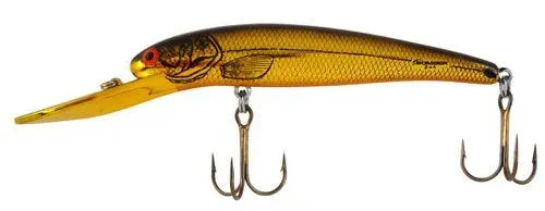 Bomber Deep Long A Gold Chrome/Black Orange Belly