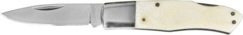 Bovine Decorative White Bone Folder