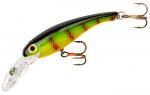 Cotton Cordell Wally Diver Perch