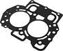 Cylinder Head Gasket F15C/F20C