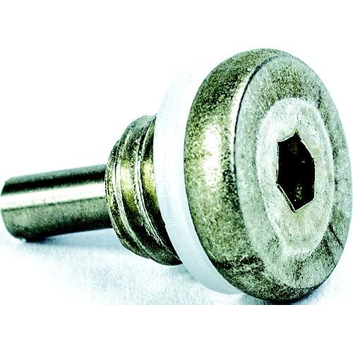 Drain Screw For Etec W/Magnet