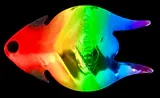 Erie Arrowhead Spinner Blade #4.5 Roy G Biv Silver Back