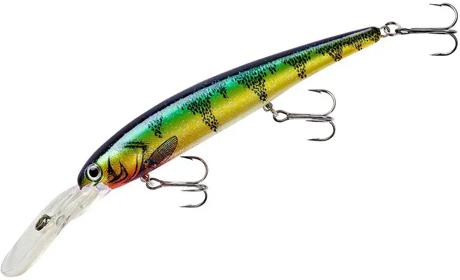 Bandit Deep BDTWBD228 Green Perch