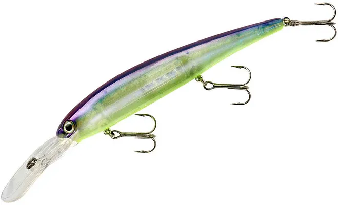 Bandit Deep BDTWBD201 Blue Shiner
