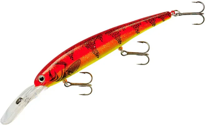 Bandit Deep BDTWBD229 Red Chartreuse