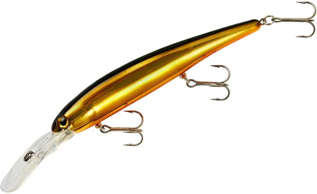 Bandit Deep BDTWBD262 Gold Black Back