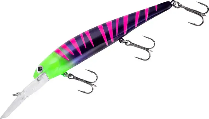 Bandit Deep BDTWBD2B82 Party Zebra