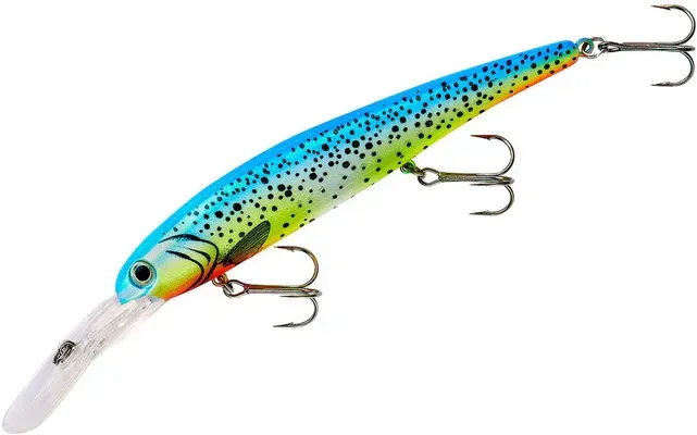 Bandit Deep BDTWBD267 Parakeet