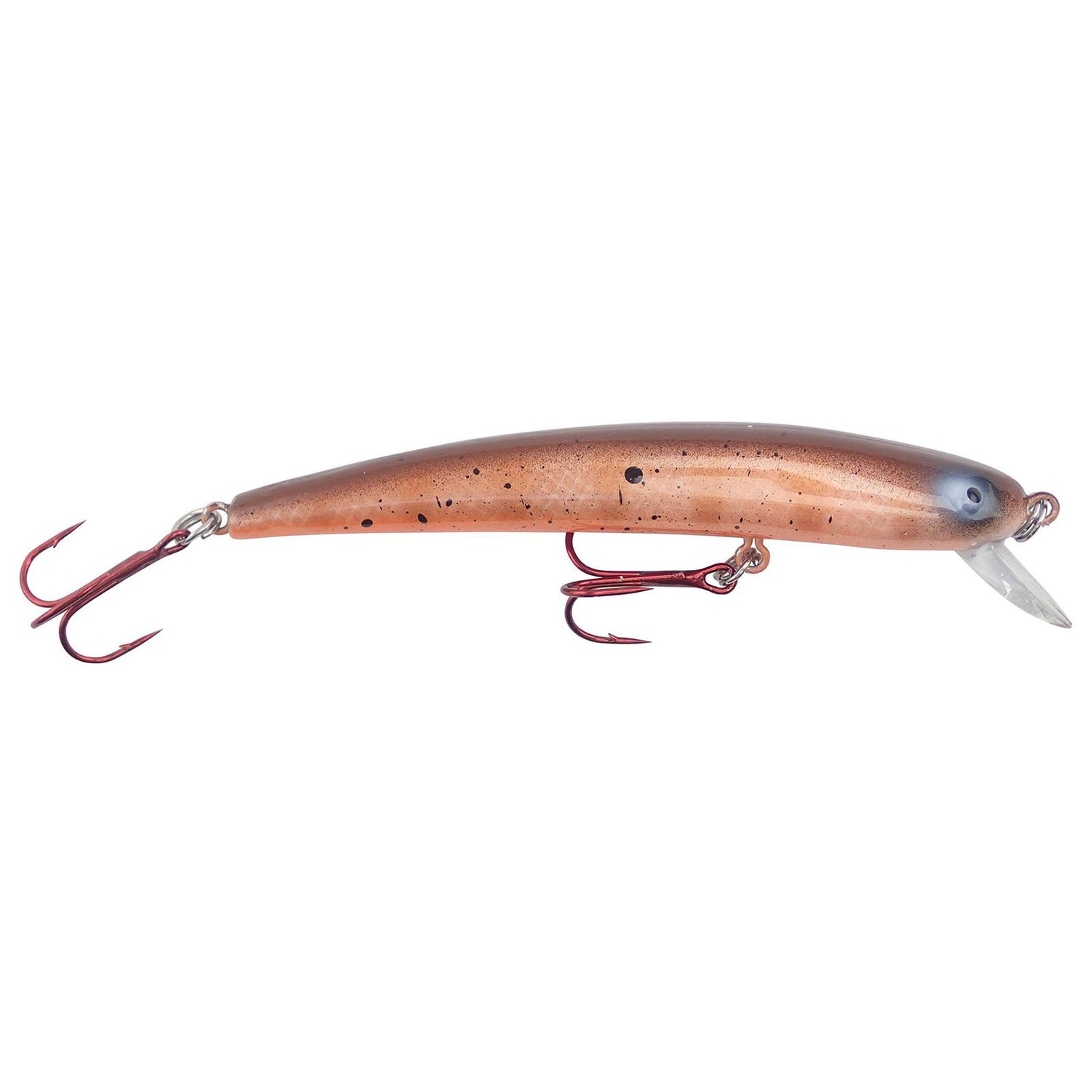 Bay Rat Long Shallow Orange Goby