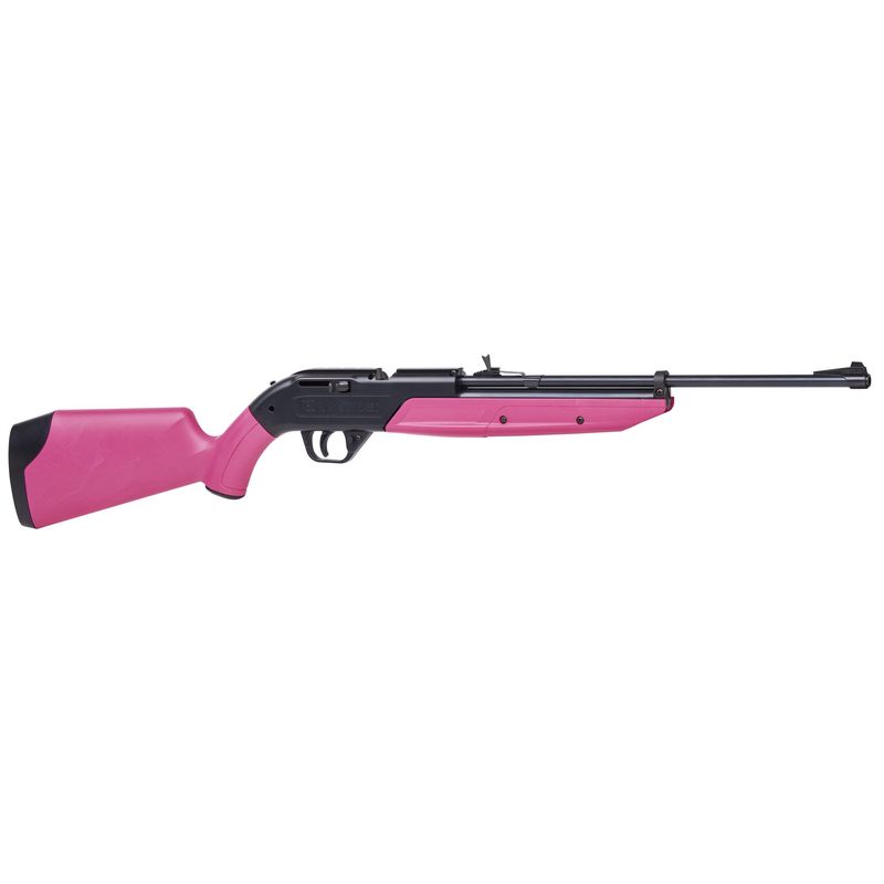 Crosman 760 Pumpmaster