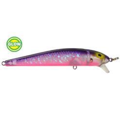 Bay Rat S3 Purple Wish