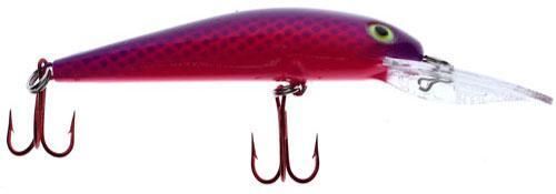 Bay Rat SD Sweet Lips