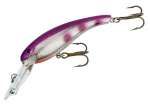 Cotton Cordell Wally Diver Purple Rain