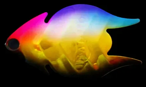 Erie Arrowhead Spinner Blade #8 Motherlove Gold Back