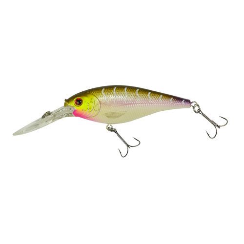 Berkley Flicker Shad® 9 Purple Tiger FFSH9M-PT