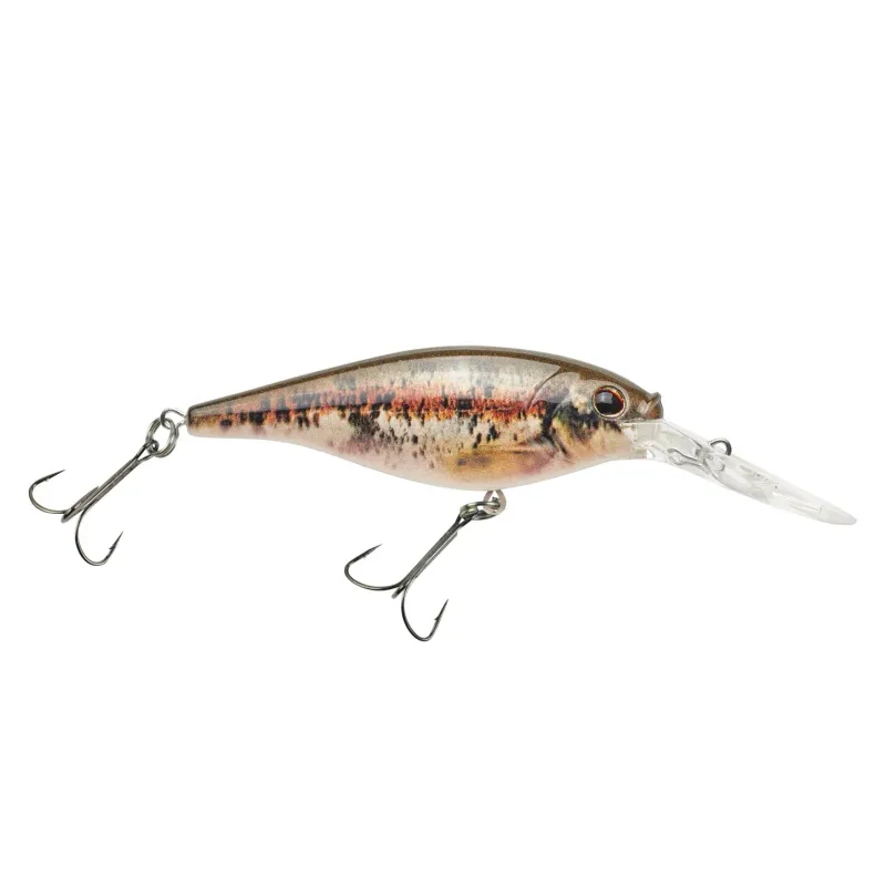 Berkley Flicker Shad®7 HD Blacknose Dace FFSH7M-HDBND