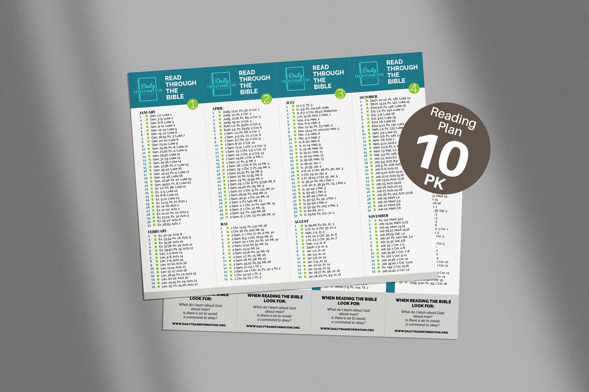 Bible Reading Plan Bookmarks (10-pack)