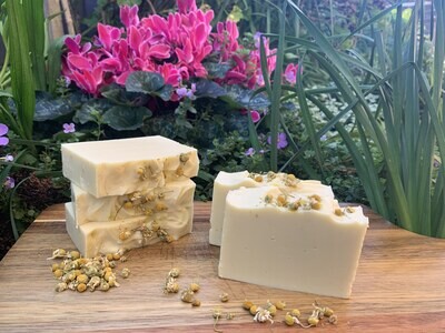 Creamy Chamomile