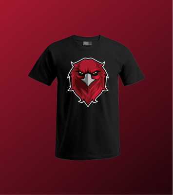 Atlanta Falcons Germany Herren T-Shirt "Gesicht"