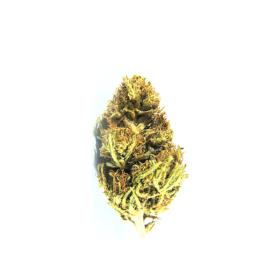 PURPLE HAZE CBD