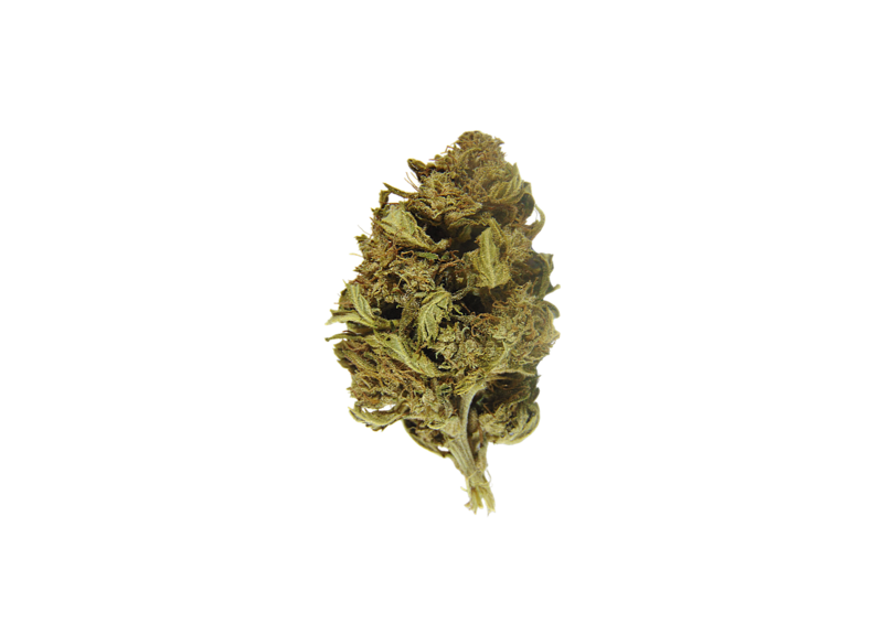 JACK FROST CBG