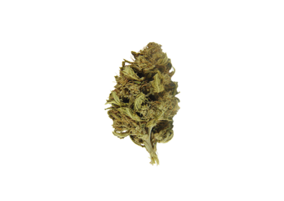 JACK FROST CBG