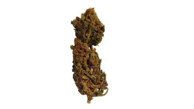 AK-47 10 grams