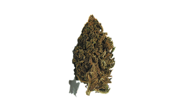 White CBG