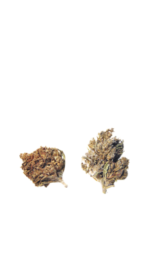 SILVER HAZE
