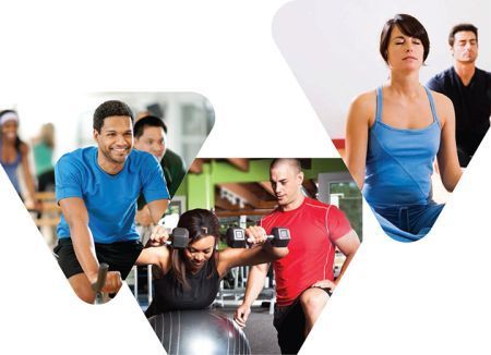 My Wellness Journey