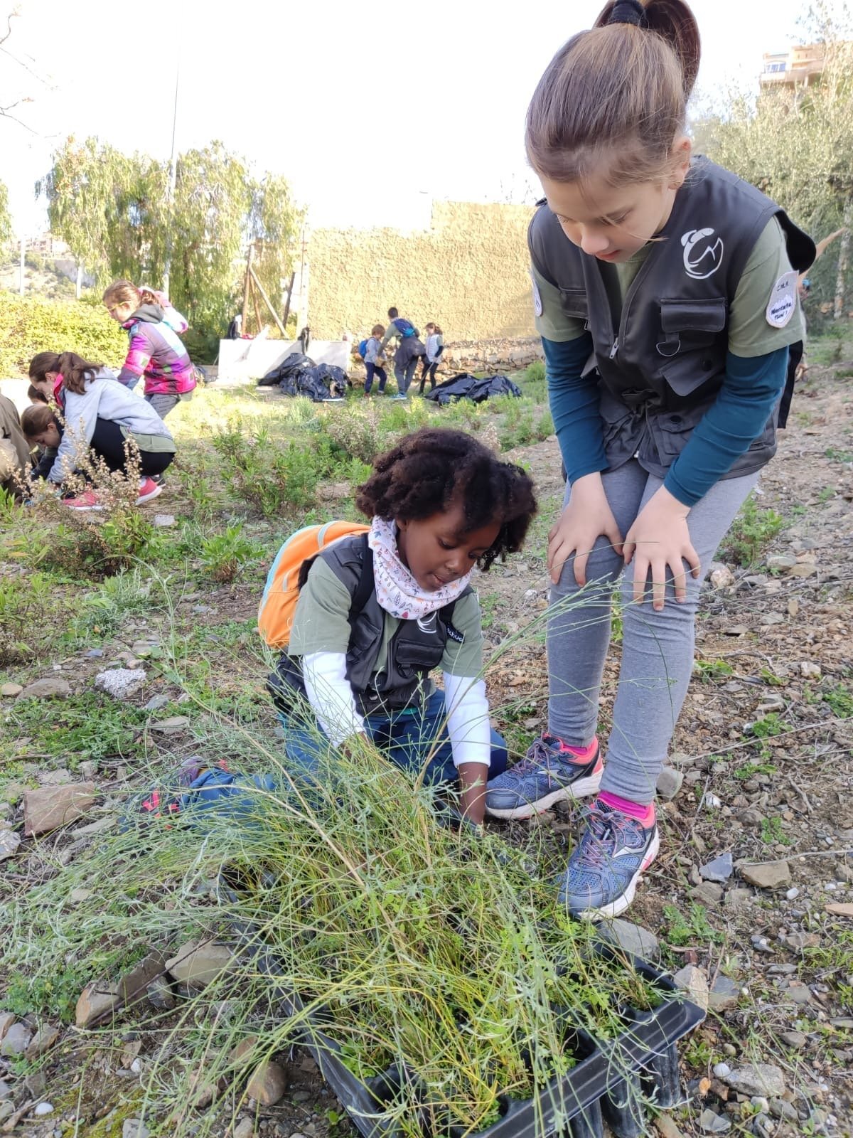 Chaleco Oficial serigrafiado