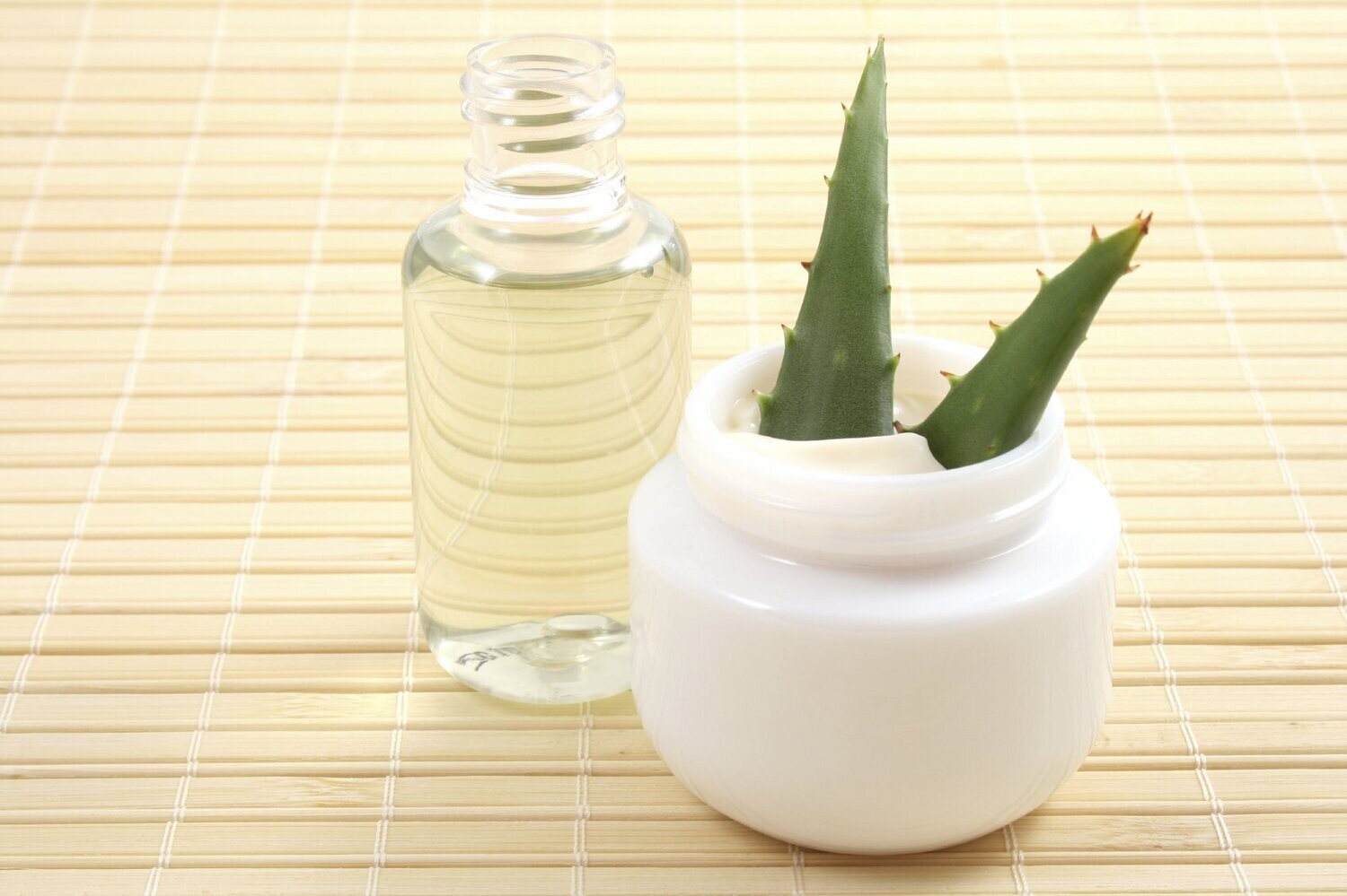 Curso adultos Botánica y  Farmacognasia