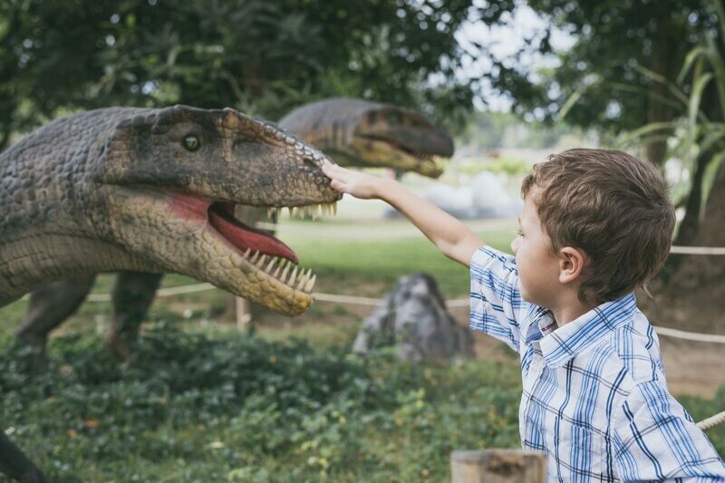 Extraescolar DinoDescubrimientos
