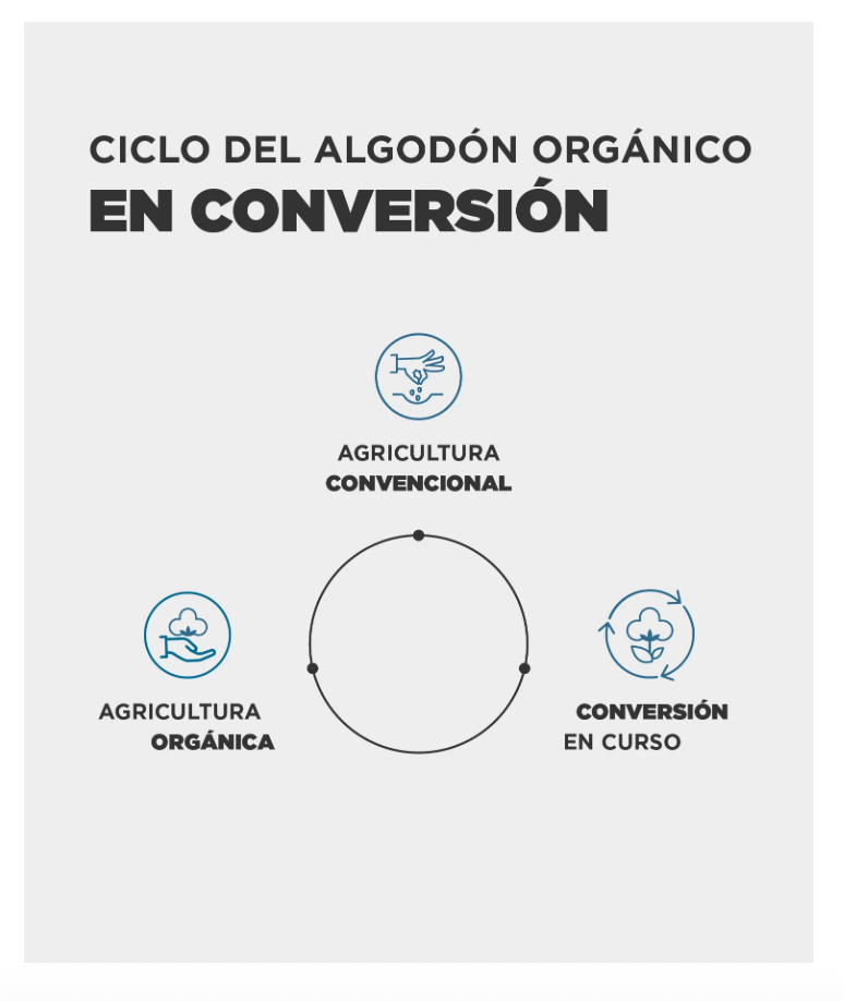 Camiseta Original  Camiseta Bio Recuerdo Campamento Explora