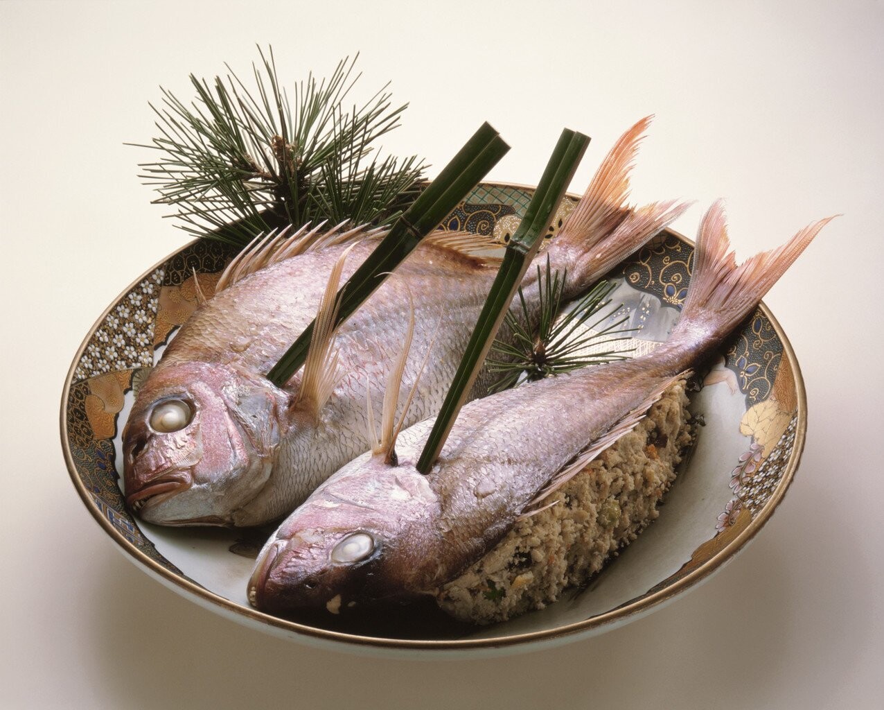 BON PLAN POISSON
