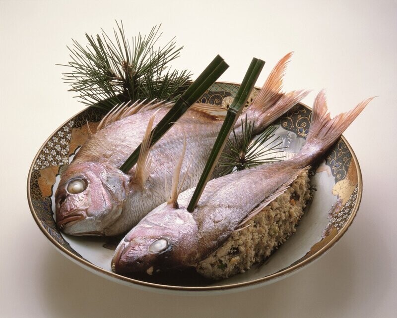 BON PLAN POISSON