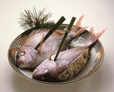 BON PLAN POISSON